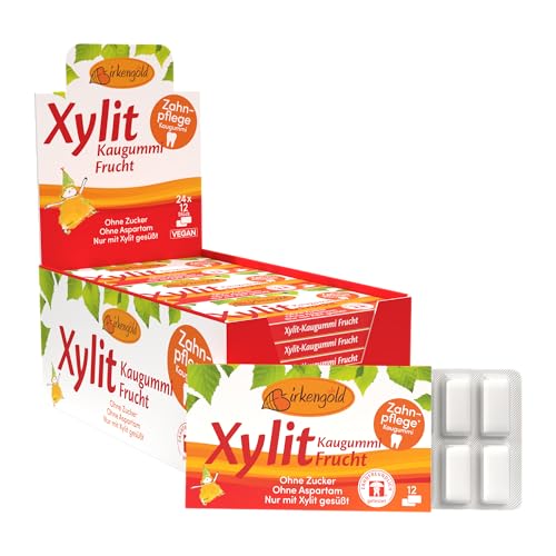 Birkengold Xylit Kaugummi Frucht | 24 Stk. Blister | Zahnpflege-Kaugummi | zuckerfrei | hoher Xylit-Anteil 70 % | vegan | ohne Titandioxid | ohne Aspartam | ohne Zucker von Birkengold