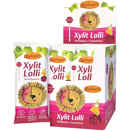 Birkengold Xylit Lolli zuckerfrei | 20 x 6g einzeln verpackt | vegan | zuckerfreier Dauerlutscher | Multivitamin Zahnpflege Lolli | Frucht Lolli Himbeere von Birkengold