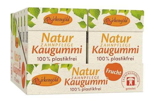 *NEU* Birkengold Natur Zahnpflege Kaugummi | Frucht | plastikfrei | 12x28g | Natürliche Kaumasse (Chicle) | Ohne Erdöl | Zuckerfrei | Naturkosmetik zertifiziert von Birkengold