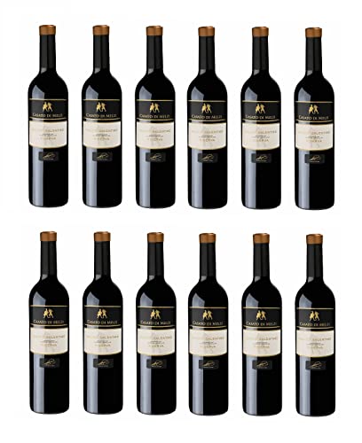 12x 0,75l - Casato di Melzi - Salice Salentino Riserva D.O.P. - Apulien - Italien - Rotwein trocken von Biscardo Vini