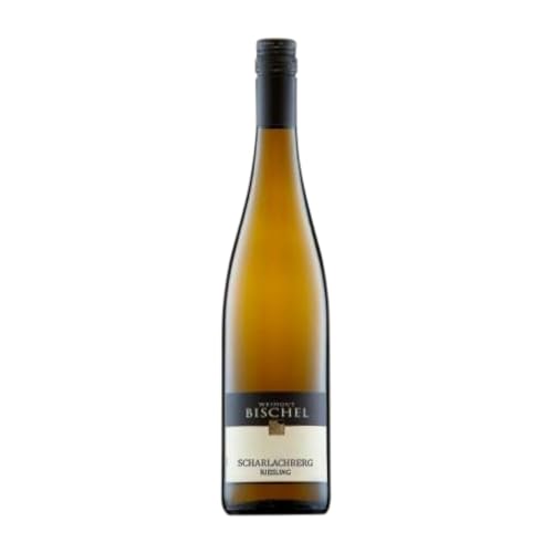 Bischel Scharlachberg Riesling Trocken Rheinhessen 75 cl Weißwein von Bischel