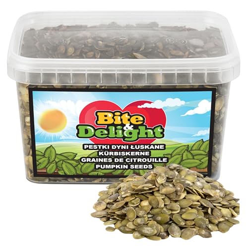 Bite & Delight Kürbiskerne Geschält - Ungesalzen Ungeröstet - Knackige Kürbiskerne - Schalenlos zum Knabbern - Kürbis Kerne Roh ohne Schale - Vegan in Rohkostqualität - Eiweißquelle - 1000 ml Bite & Delight Kürbiskerne Geschält - Ungesalzen Ungeröstet - Knackige Kürbiskerne - Schalenlos zum Knabbern - Kürbis Kerne Roh ohne Schale - Vegan in Rohkostqualität - Eiweißquelle - 1000 ml von Bite & Delight