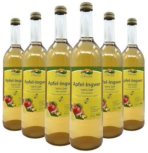 Bleichhof Apfelsaft mit Ingwersaft Direktsaft – 100% Direktsaft, vegan, OHNE Zuckerzusatz, 6er Pack (6x 0,72l) von Bleichhof