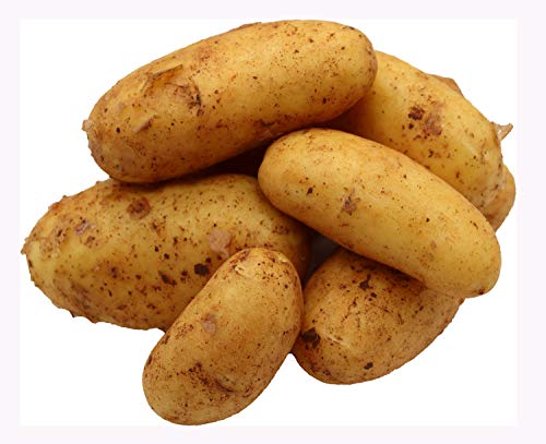 BLEICHHOF® 5kg Annabelle Kartoffeln aus der Pfalz - Sorte: Annabelle festkochend Salatkartoffel, Ernte 2024 von Bleichhof