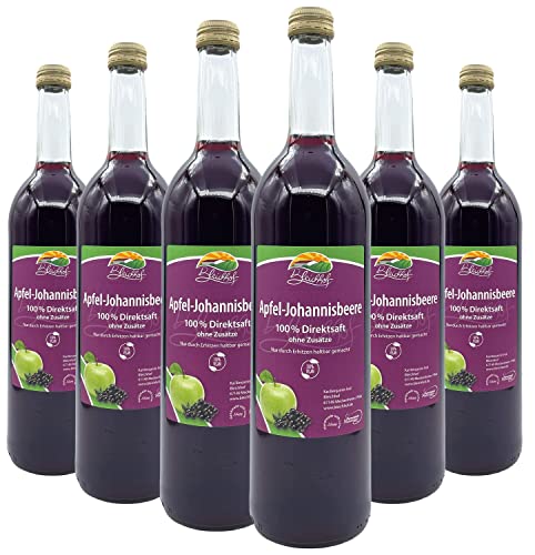 Bleichhof Apfel-Johannisbeer Saft - 100% Direktsaft, vegan, OHNE Zuckerzusatz, 6er Pack (6x 0,72l) von Bleichhof