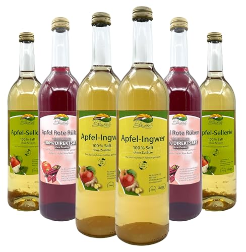 BLEICHHOF® Apfelmischsäfte mit Gemüse - 2x Apfelsaft mit Ingwersaft 0,72L, 2x Apfelsaft mit Rote Rübensaft 0,72L, 2x Apfelsaft mit Selleriesaft 0,72L (6x0,72L) von Bleichhof