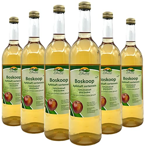 Bleichhof Apfelsaft Boskoop - 100% Direktsaft, sortenrein, OHNE Zuckerzusatz, vegan, 6er Pack (6 x 0,72l) von Bleichhof