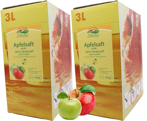 BLEICHHOF® Apfelsaft klar - Direktsaft, vegan, Bag-in-Box (2x3l Saftbox) von Bleichhof
