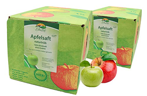 Bleichhof Apfelsaft naturtrüb - 100% Direktsaft, vegan, OHNE Zuckerzusatz, Bag-in-Box (2x 5l Saftbox) von Bleichhof