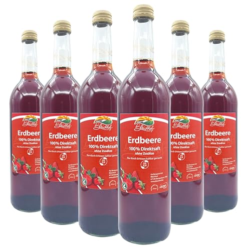 Bleichhof Erdbeersaft - 100% Direktsaft, naturrein und vegan, OHNE Zuckerzusatz, 6er Pack (6 x 0,72l) von Bleichhof