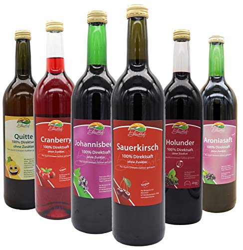 Bleichhof Muttersäfte Probierkarton - Sauerkirschsaft 0,72L, Aroniasaft 0,72L, schwarzer Johannisbeersaft 0,72L, Holundersaft 0,72L, Cranberrysaft 0,72L, Quittensaft 0,72L (6x 0,72L) von Bleichhof