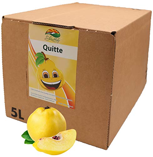 Bleichhof Quittensaft - 100% Direktsaft ohne Zusätze, Bag-in-Box Verpackung mit Zapfsystem (1x 5l Saftbox) von Bleichhof