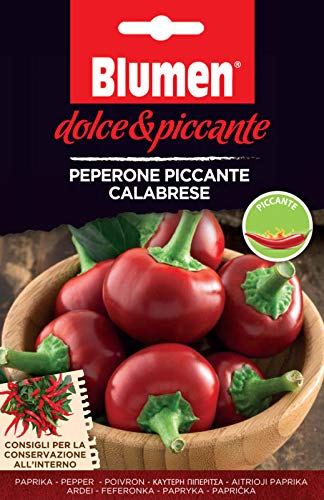 BS1031 Chili Piccante Calabrese (Chilisamen) von Blumen