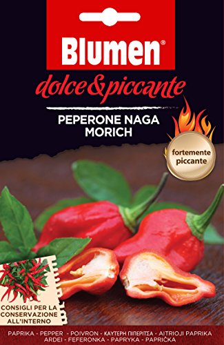 Dolce & Piccante n Morich Samen, 1 Liter, Schwarz, 20x0.5x13 CM Dolce & Piccante n Morich Samen, 1 Liter, Schwarz, 20x0.5x13 CM von Blumen