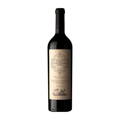 Aleanna Gran Enemigo El Cepillo Cabernet Franc Mendoza 75 cl Rotwein Aleanna Gran Enemigo El Cepillo Cabernet Franc Mendoza 75 cl Rotwein von Bodega Aleanna