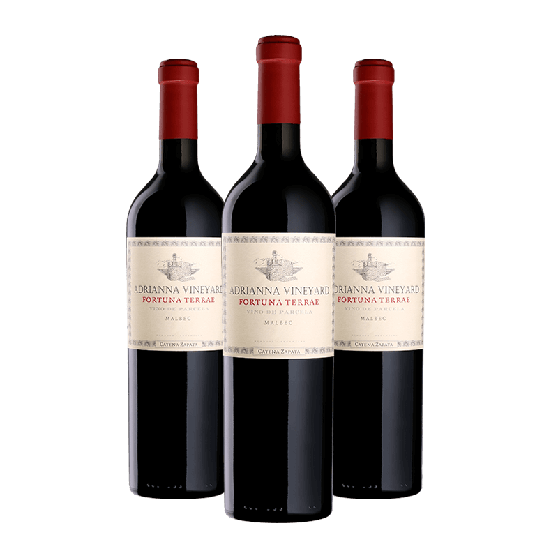 Bodega Catena Zapata : "Adrianna Fortuna Terrae" Malbec 2021 Bodega Catena Zapata : "Adrianna Fortuna Terrae" Malbec 2021 von Bodega Catena Zapata