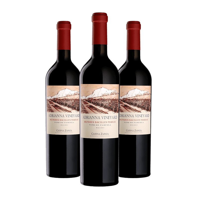 Bodega Catena Zapata : "Adrianna Mundus Bacillus Terrae" Malbec 2021 Bodega Catena Zapata : "Adrianna Mundus Bacillus Terrae" Malbec 2021 von Bodega Catena Zapata