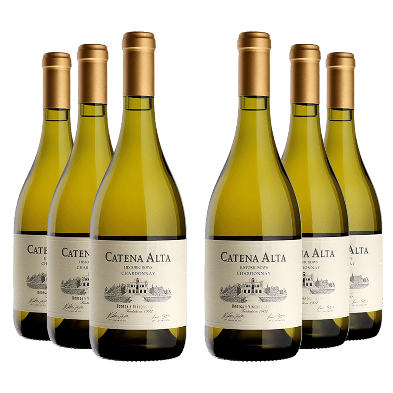 Bodega Catena Zapata : "Catena Alta" Chardonnay 2022 Bodega Catena Zapata : "Catena Alta" Chardonnay 2022 von Bodega Catena Zapata