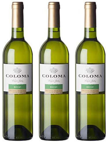 Bodega Coloma | | 3 Flaschen | Muskat Seco | frischer und fruchtiger Geschmack | trocken | klassisches Muskat-Aroma | Ein toller und ungewöhnlicher Muskat aus Spanien Bodega Coloma | | 3 Flaschen | Muskat Seco | frischer und fruchtiger Geschmack | trocken | klassisches Muskat-Aroma | Ein toller und ungewöhnlicher Muskat aus Spanien von Bodega Coloma