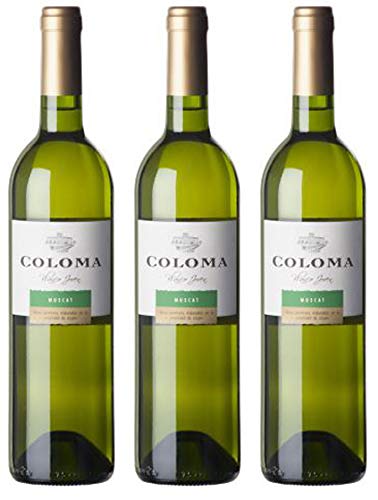 Bodega Coloma | | 3 Flaschen | Muskat Seco | frischer und fruchtiger Geschmack | trocken | klassisches Muskat-Aroma | Ein toller und ungewöhnlicher Muskat aus Spanien von Bodega Coloma