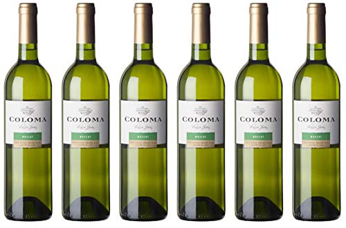 Bodega Coloma | | 6 Flaschen | Muskat Seco | frischer und fruchtiger Geschmack | trocken | klassisches Muskat-Aroma | Ein toller und ungewöhnlicher Muskat aus Spanien Bodega Coloma | | 6 Flaschen | Muskat Seco | frischer und fruchtiger Geschmack | trocken | klassisches Muskat-Aroma | Ein toller und ungewöhnlicher Muskat aus Spanien von Bodega Coloma