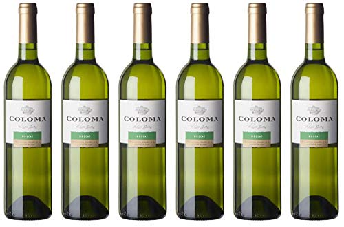 Bodega Coloma | | 6 Flaschen | Muskat Seco | frischer und fruchtiger Geschmack | trocken | klassisches Muskat-Aroma | Ein toller und ungewöhnlicher Muskat aus Spanien von Bodega Coloma