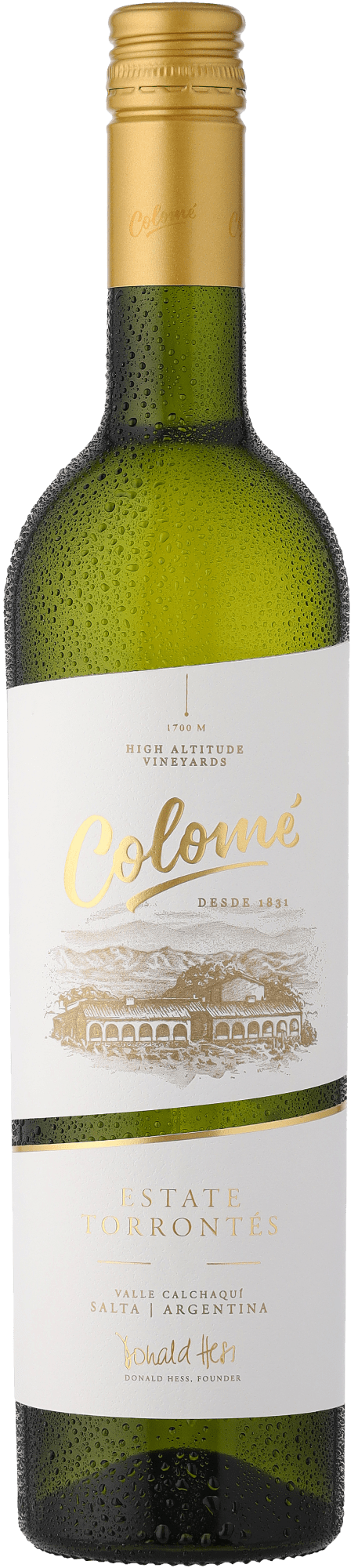 Colomé Torrontés von Bodega Colomé