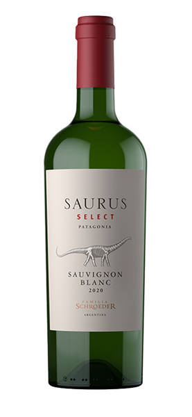 Saurus Select Sauvignon blanc von Bodega Familia Schroeder