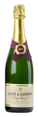 Juvé y Camps Brut 37,5 Cl. von Bodega Juvé y Camps