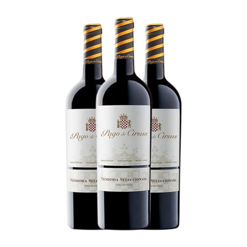 Pago de Cirsus Finca Bolandín Vendimia Seleccionada 75 cl (Schachtel mit 3 Flaschen von 75 cl)
