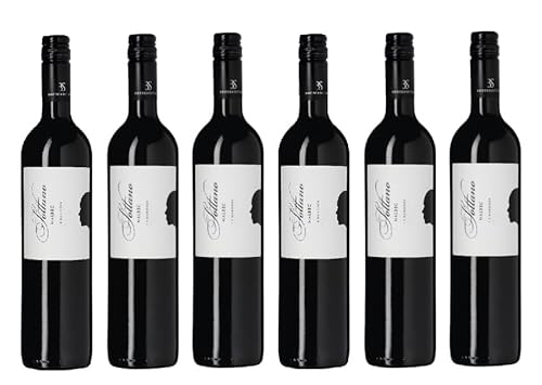 6x 0,75l - 2021er - Bodega Sottano - Malbec - Mendoza I.P - Argentinien - Rotwein trocken von Bodega Sottano