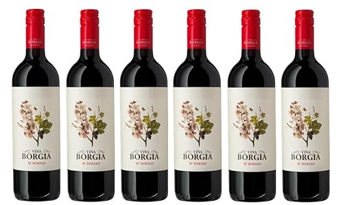 6x 0,75l - Bodegas Borsao - Viña Borgia - Campo de Borja D.O.P. - Spanien - Rotwein trocken von Bodegas Borsao