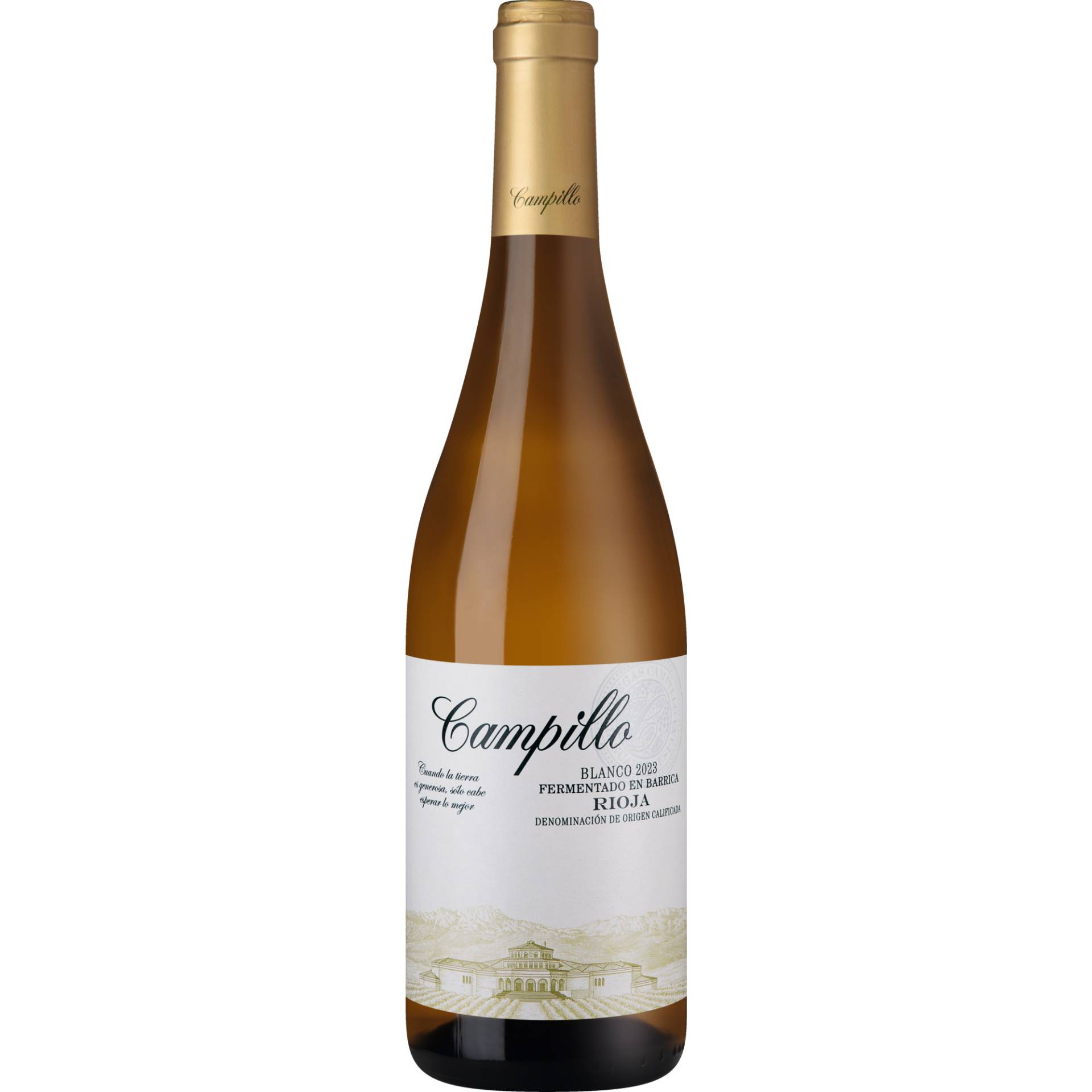 Campillo Rioja Blanco Barrica, Rioja DOCa, Rioja, 2023, Weißwein von Bodegas Campillo S.L., Ctra Logroño SN, 01300 Laguardia (Álava), Spain