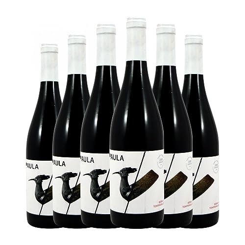 Coviñas Aula Utiel-Requena 75 cl Rotwein (Schachtel mit 6 Flaschen von 75 cl) von Bodegas Coviñas