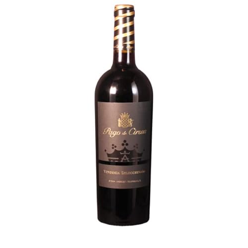 Bodegas Inaki Nunez 2020 Pago de Cirsus Vendimia Seleccionada Navarra DO 0.75 Liter Bodegas Inaki Nunez 2020 Pago de Cirsus Vendimia Seleccionada Navarra DO 0.75 Liter von Bodegas Inaki Nunez