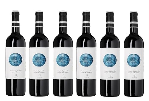 6x 0,75l - 2022er - Bodegas Ochoa - Calendas - Tinto - Navarra D.O.P. - Spanien - Rotwein trocken 6x 0,75l - 2022er - Bodegas Ochoa - Calendas - Tinto - Navarra D.O.P. - Spanien - Rotwein trocken von Ochoa
