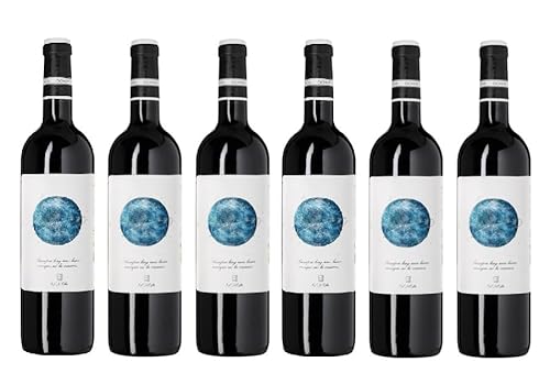 6x 0,75l - 2022er - Bodegas Ochoa - Calendas - Tinto - Navarra D.O.P. - Spanien - Rotwein trocken von Bodegas Ochoa