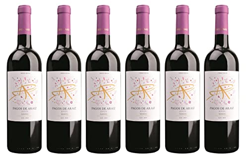 6x 0,75l - Bodegas Pagos de Araíz - Joven - Navarra D.O. - Spanien - Rotwein trocken von Bodegas Pagos de Araíz