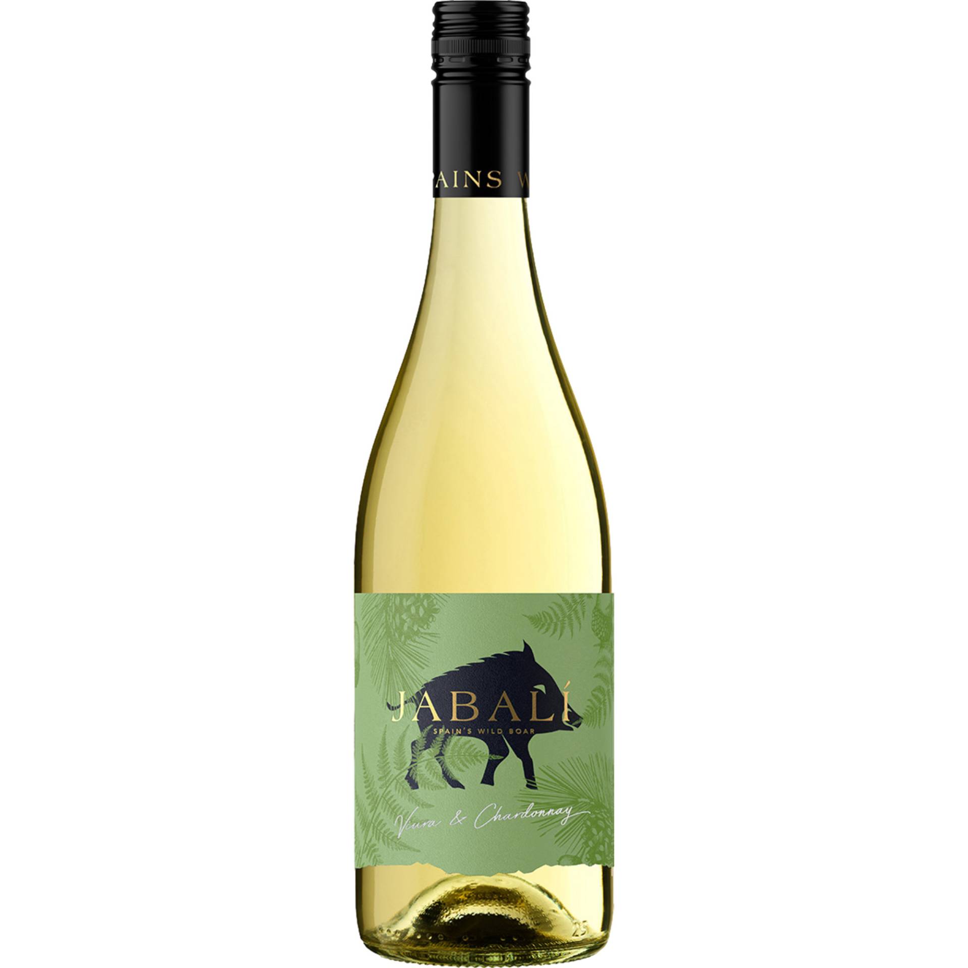 Jabali Chardonnay & Viura, Cariñena DO, Aragonien, 2023, Weißwein Jabali Chardonnay & Viura, Cariñena DO, Aragonien, 2023, Weißwein von Bodegas Paniza S.Coop , ES 50480 Paniza Zaragoza