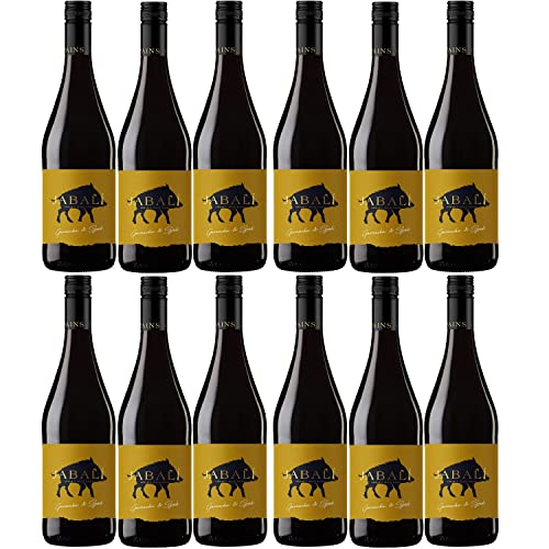 Bodegas Paniza Jabali Garnacha Syrah Rotwein Wein halbtrocken Spanien I Visando Paket (12 Flaschen) von Bodegas Paniza