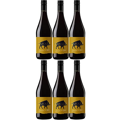 Bodegas Paniza Jabali Garnacha Syrah Rotwein Wein halbtrocken Spanien I Visando Paket (6 Flaschen) von Bodegas Paniza