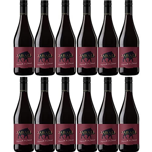 Virgen del Aguila Agoston Tempranillo/Cabernet DO Cuvee trocken I Visando Paket (12 Flaschen) von Bodegas Paniza