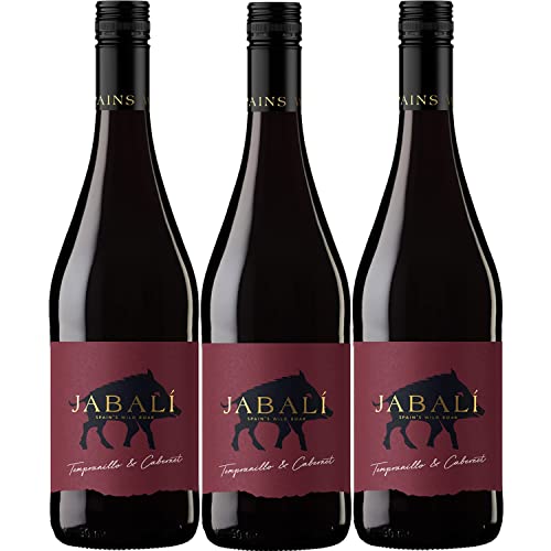 Virgen del Aguila Agoston Tempranillo/Cabernet DO Cuvee trocken I Visando Paket (3 Flaschen) von Bodegas Paniza