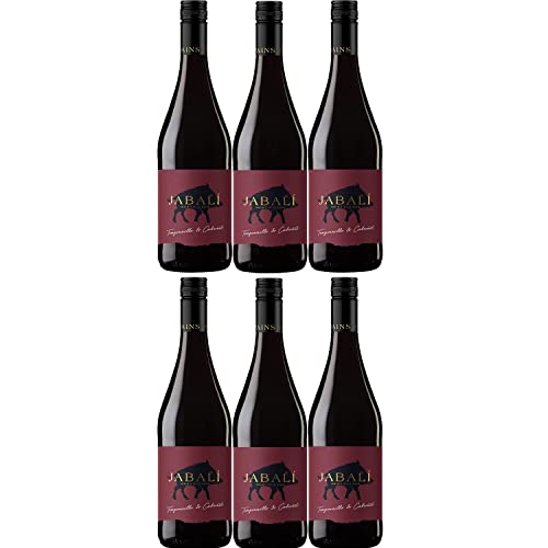 Virgen del Aguila Agoston Tempranillo/Cabernet DO Cuvee trocken I Visando Paket (6 Flaschen) von Bodegas Paniza