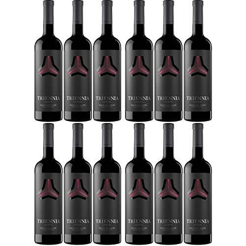 Triennia de Portia Rotwein Wein trocken Spanien I Visando Paket (12 Flaschen) von Bodegas Portia