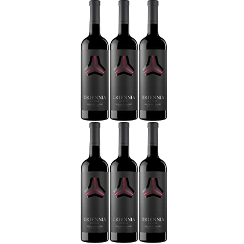 Triennia de Portia Rotwein Wein trocken Spanien I Visando Paket (6 Flaschen) von Bodegas Portia