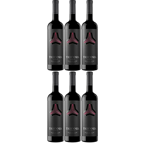 Triennia de Portia Rotwein Wein trocken Spanien I Visando Paket (6 Flaschen) von Bodegas Portia