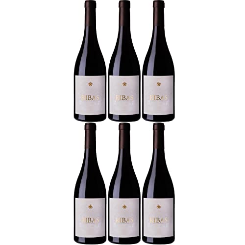 Bodegas Ribas Negre Rotwein Wein trocken Bio Mallorca Spanien I Visando Paket (6 Flaschen) von Bodegas Ribas