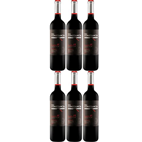 Bodegas Ribas Rosat Magnum Roséwein Wein trocken Bio Mallorca Spanien I Visando Paket (6 Flaschen) von Bodegas Ribas