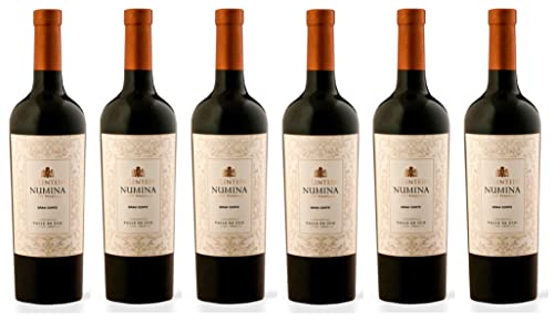 6x 0,75l - Bodegas Salentein - Numina - Gran Corte - Valle de Uco - Mendoza - Argentinien - Rotwein trocken von Bodegas Salentein